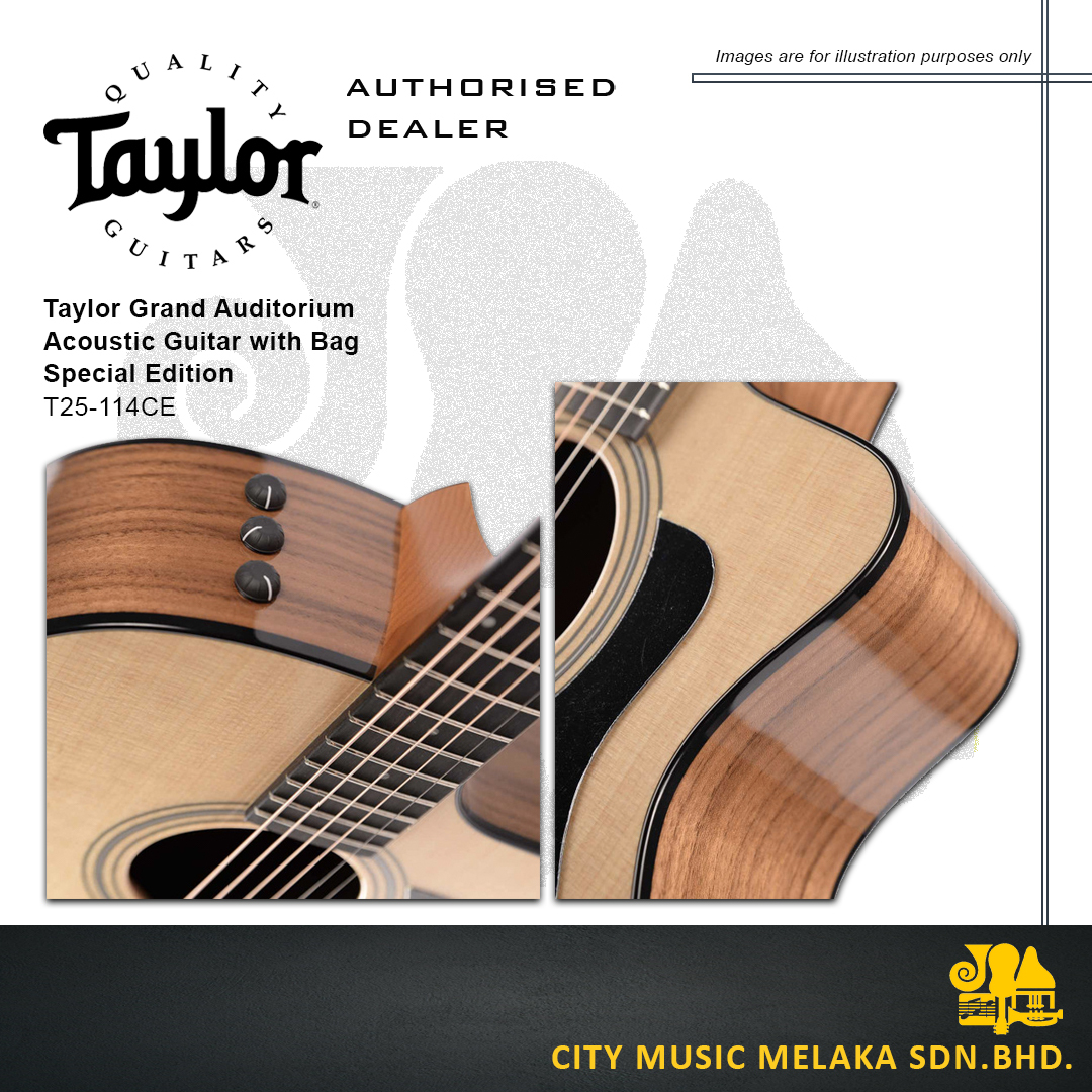 Taylor T25-114CE - 3