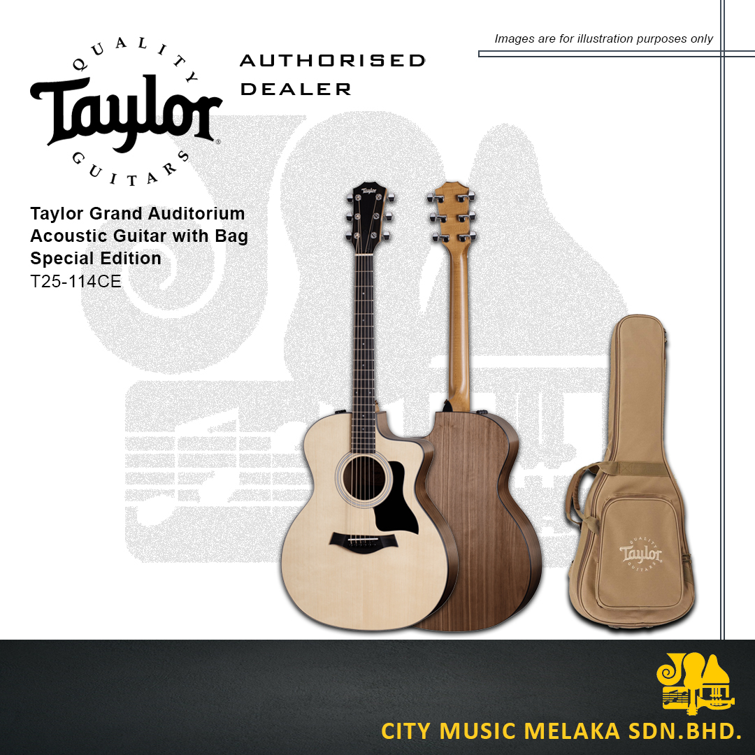 Taylor T25-114CE
