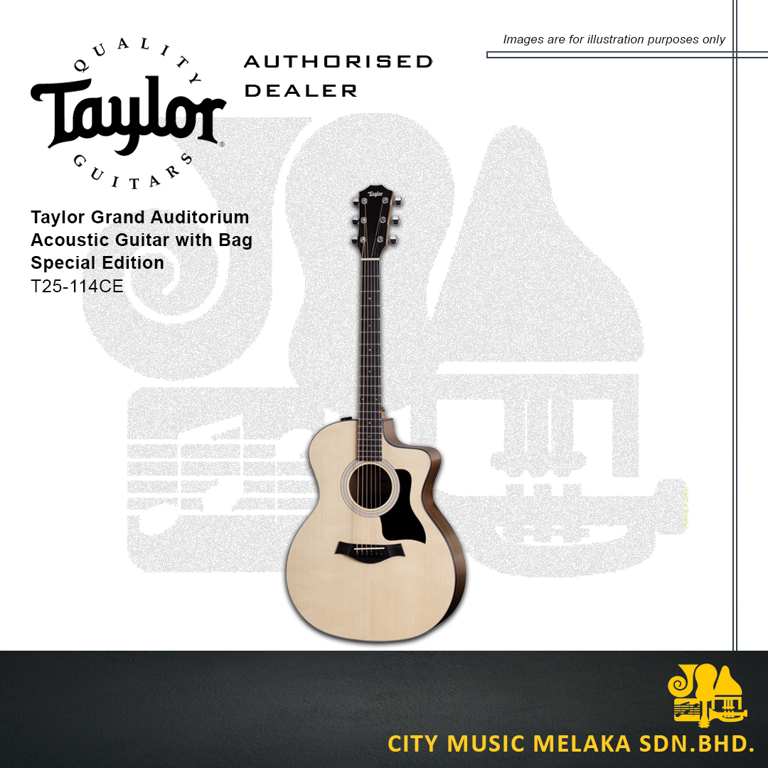 Taylor T25-114CE - 1
