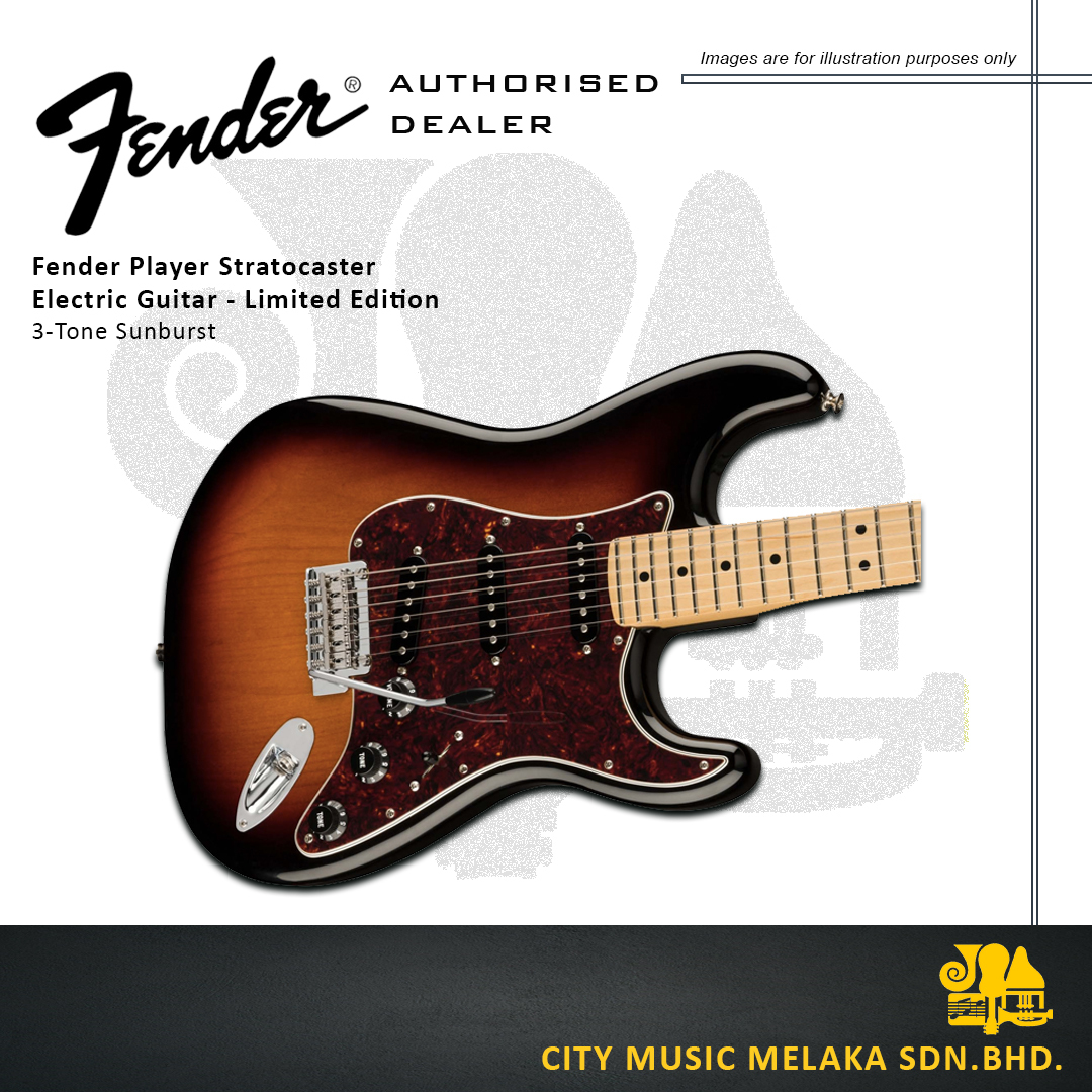 Fender Ltd Strat Electric Guitar - 4