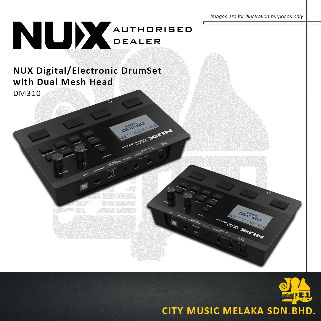 NUX DM310 - 6