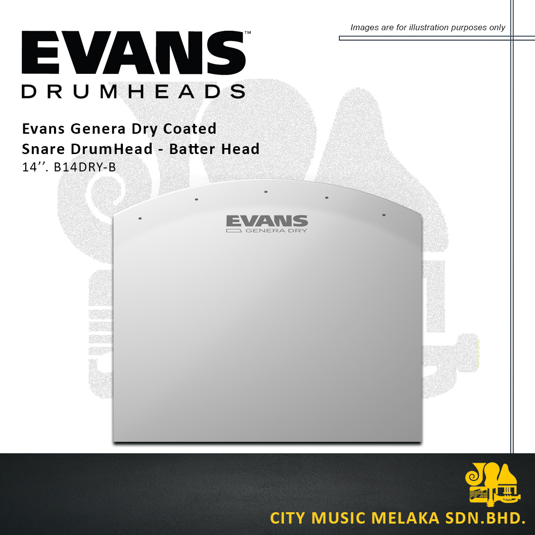 Evans Drumhead - 2