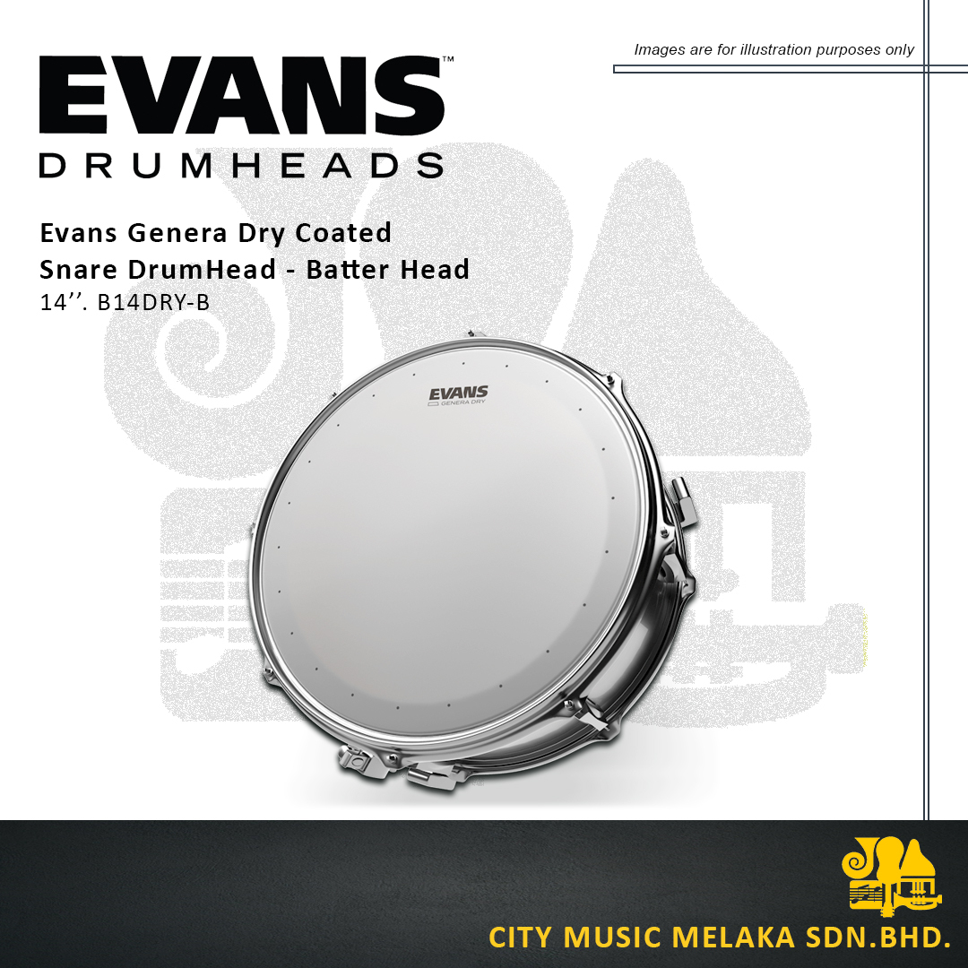 Evans Drumhead - 1