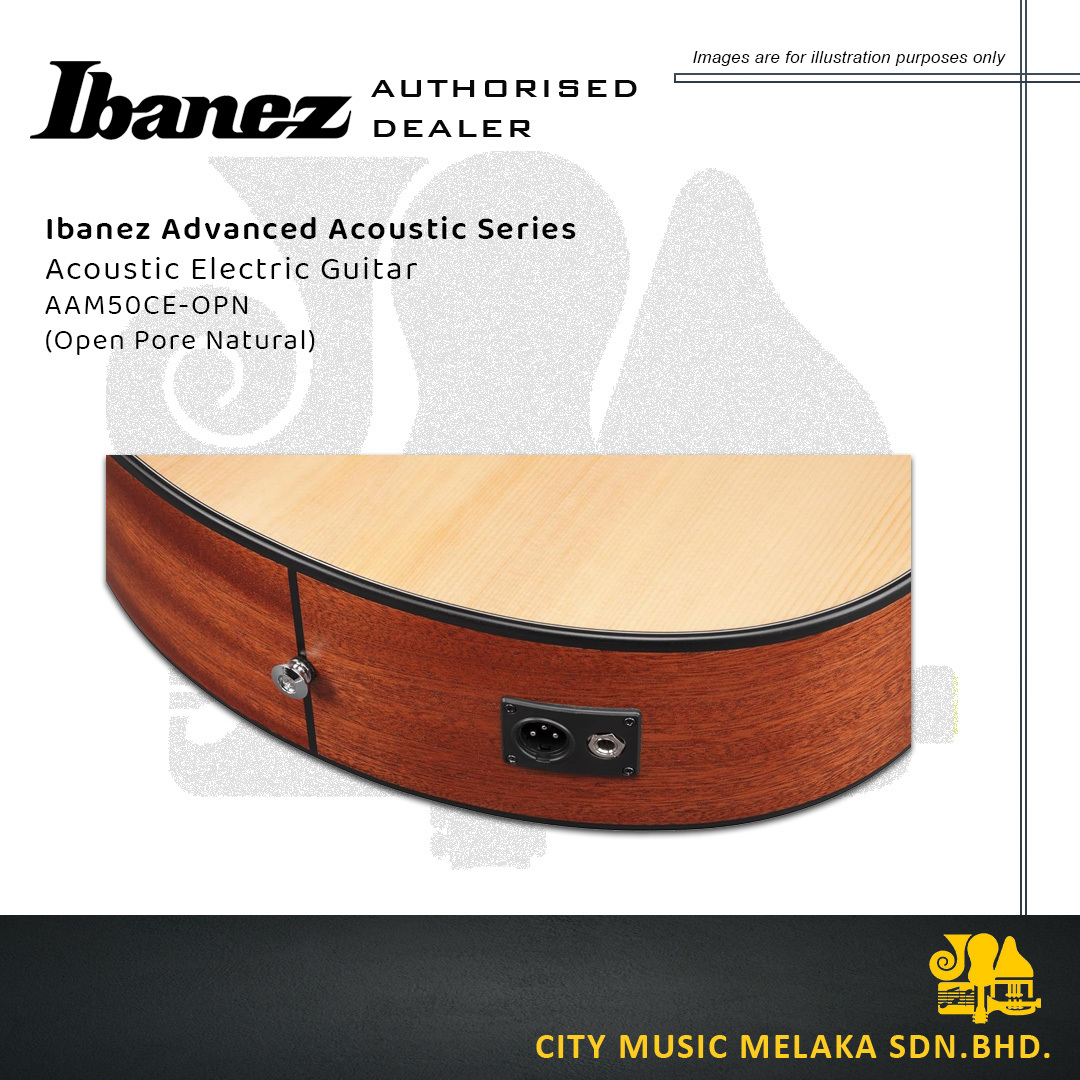 Ibanez AAM50CE OPN - 6