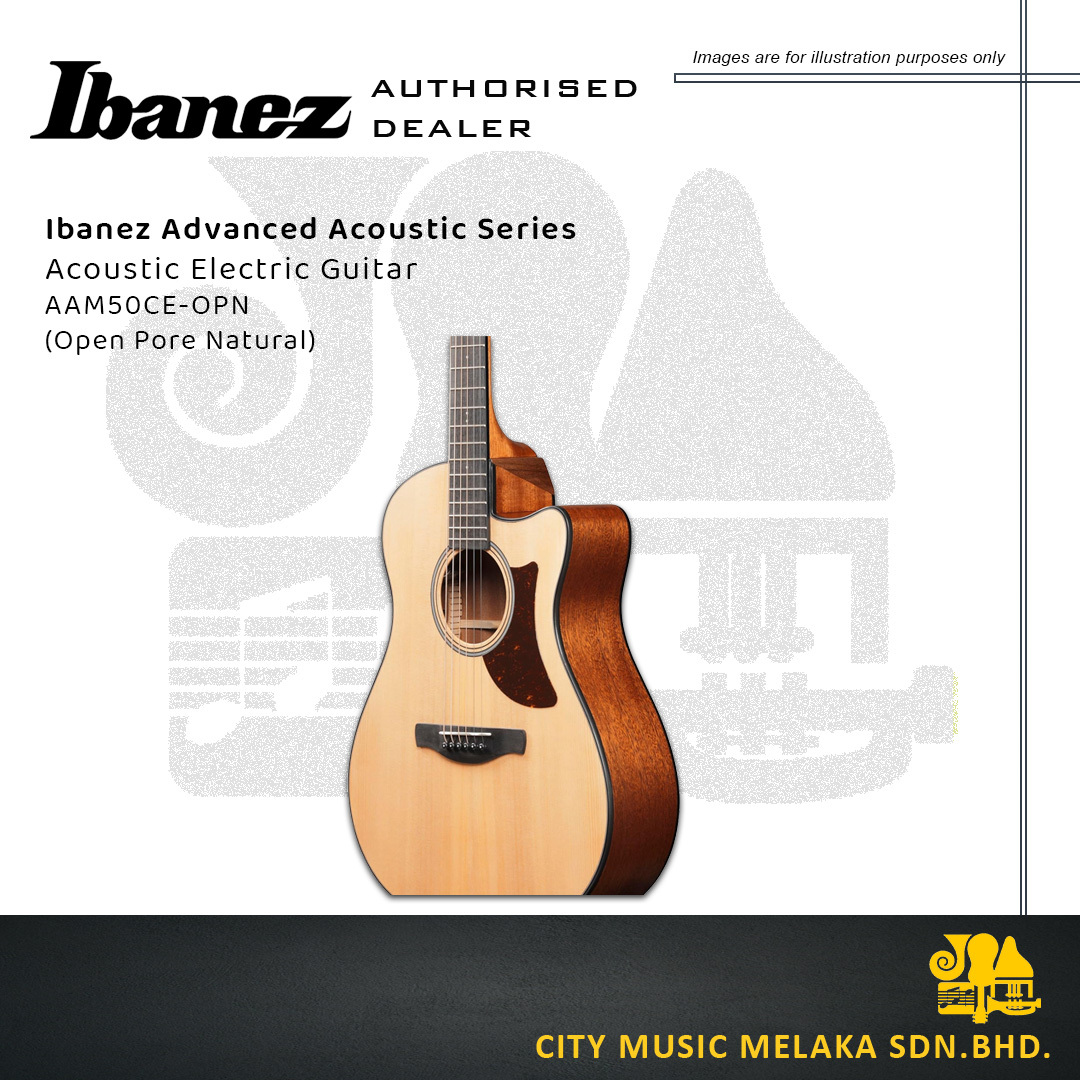 Ibanez AAM50CE OPN - 5