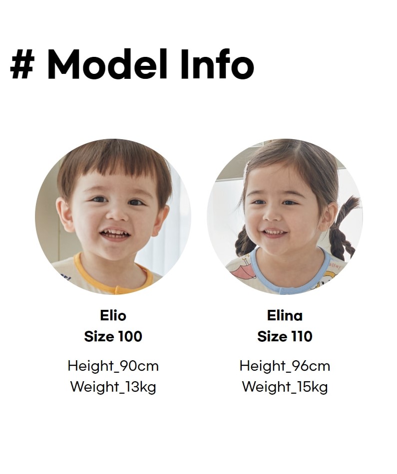 5_modelinfo_2