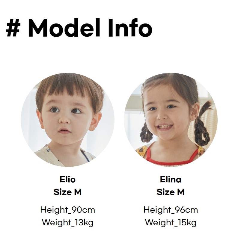 5_modelinfo_3