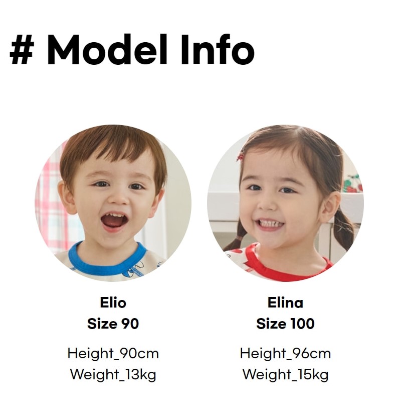 5_modelinfo_1