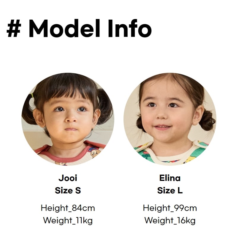 5_modelinfo_6