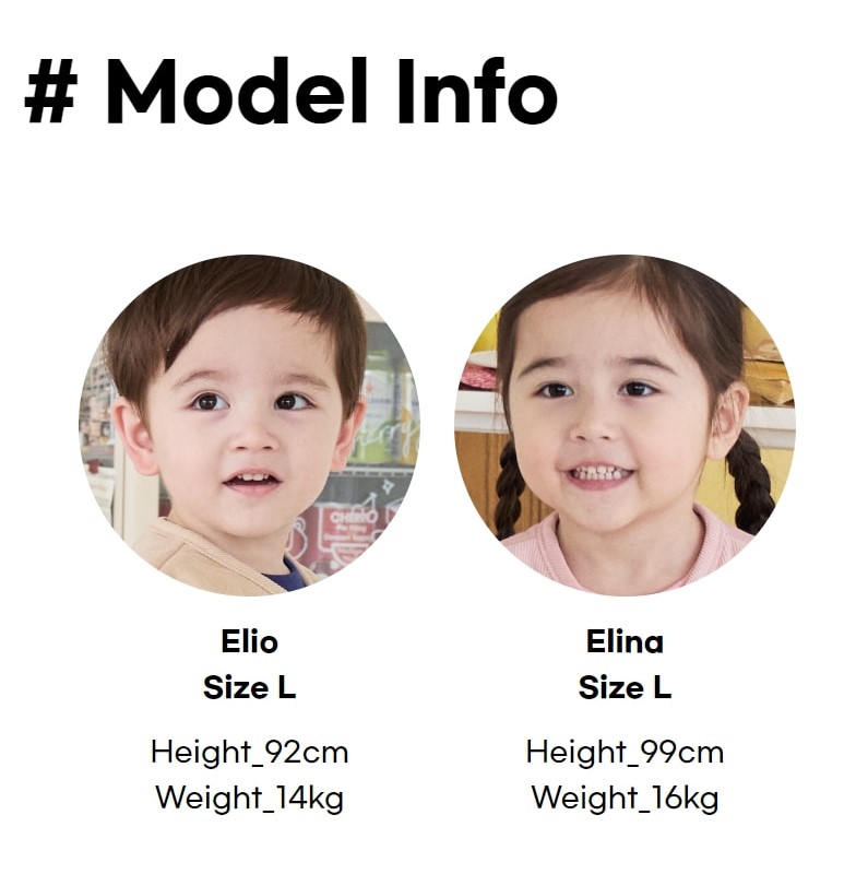 5_modelinfo_2