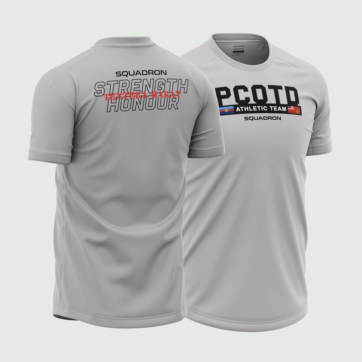 PCOTD Grey.jpg