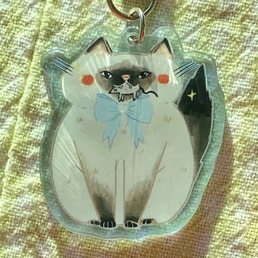 IMG_7484-1736749321308