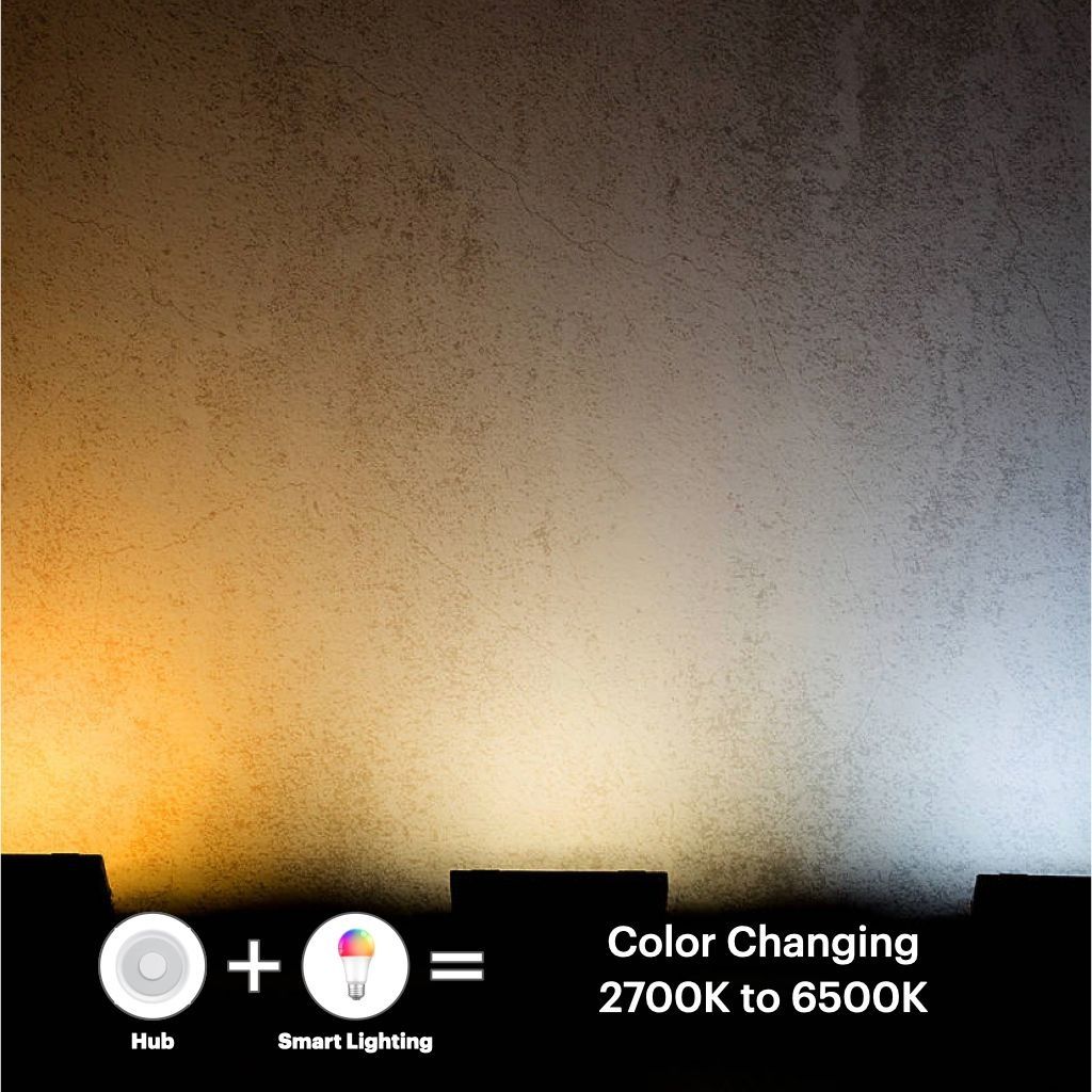 sg-11134201-7qveh-lgxe3l4imk983c