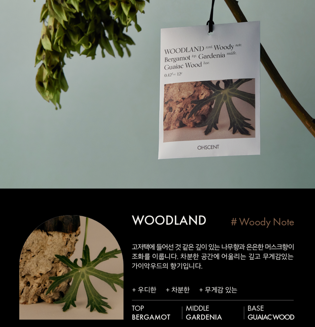 Screenshot 2024-09-02 at 1.55.20 AM