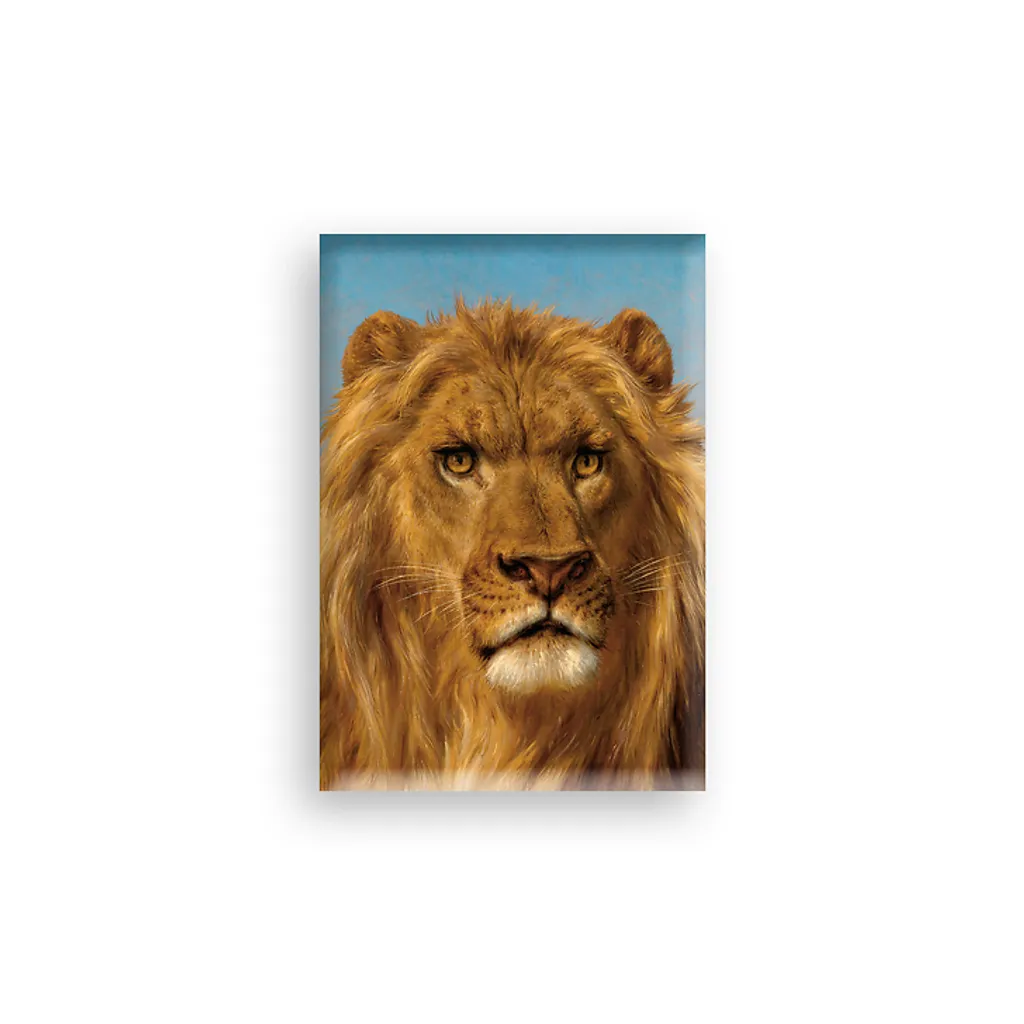 products-344818