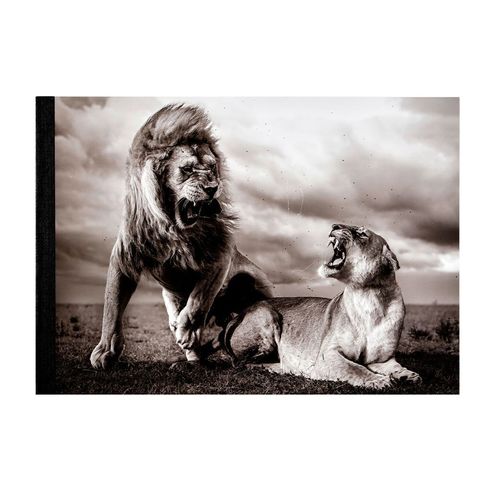 wpypad612_1000x1000_stormy_scene_sketchpad_wildlife_photographer_of_the_year_60_1_1