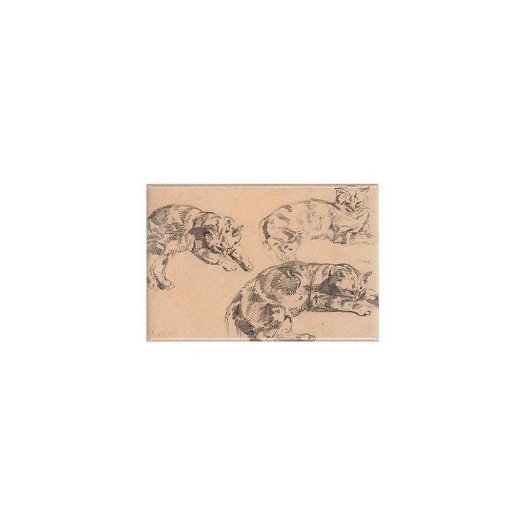 products-343517