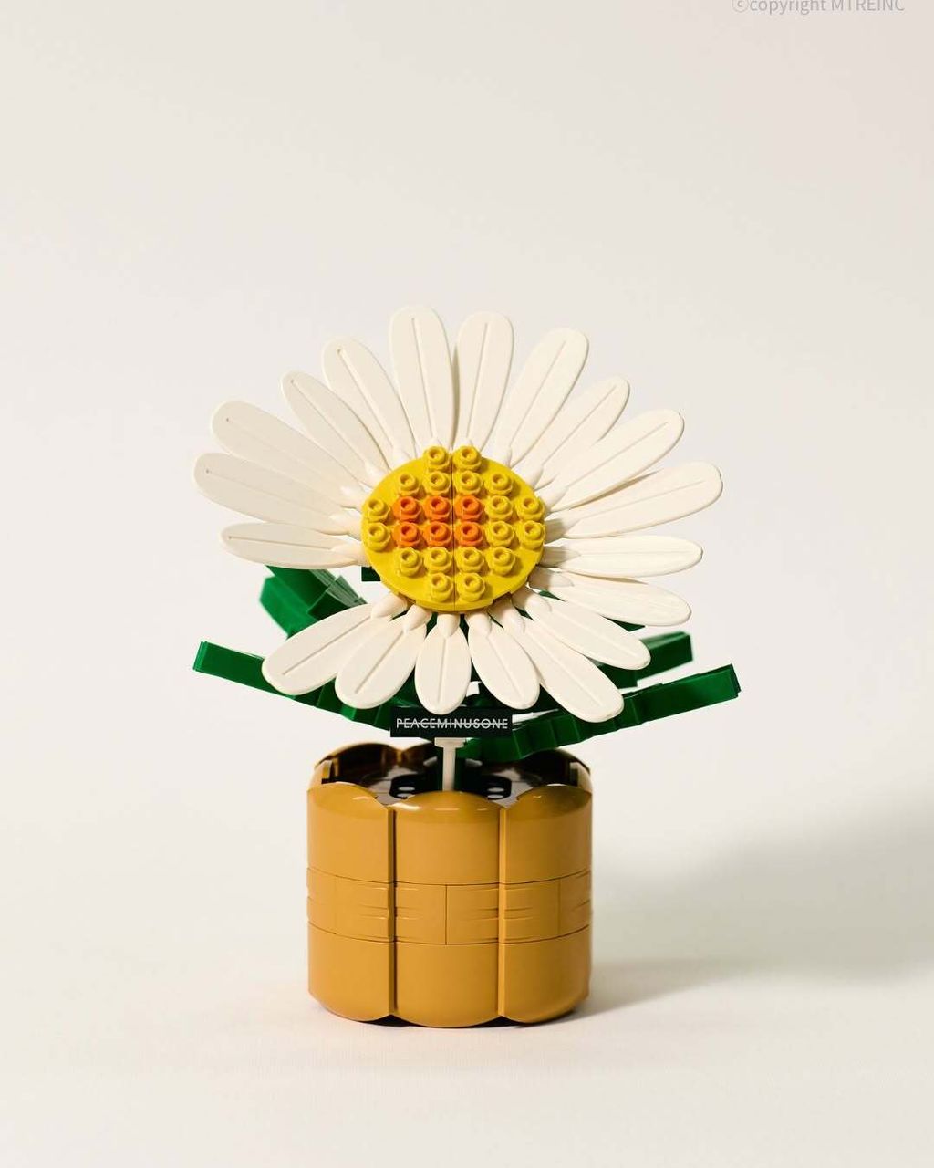 568481485_781508894760738_637700548785120317_n