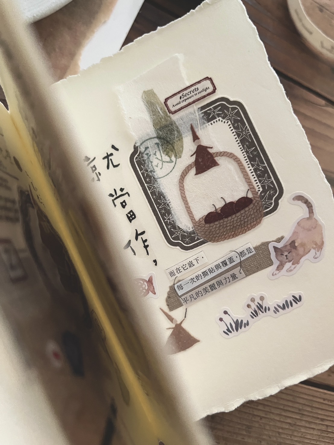 S__156893201_0