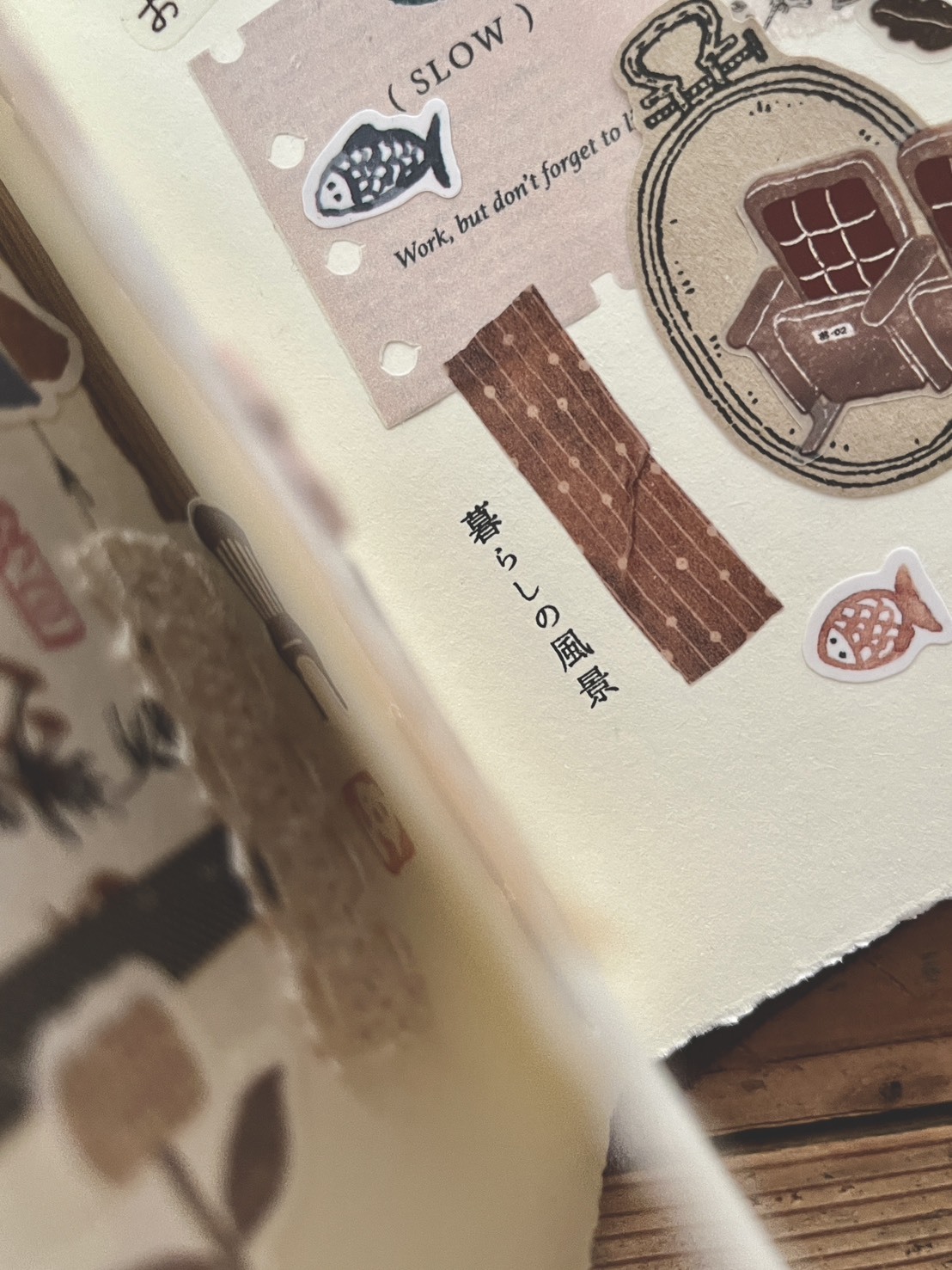 S__172539937_0