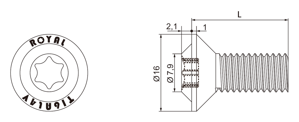 M8-F皿型-2D.png