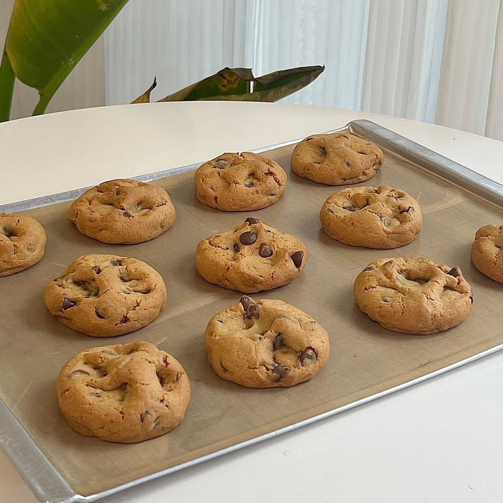 0462448E-38F8-4393-ADED-0523B314B42C