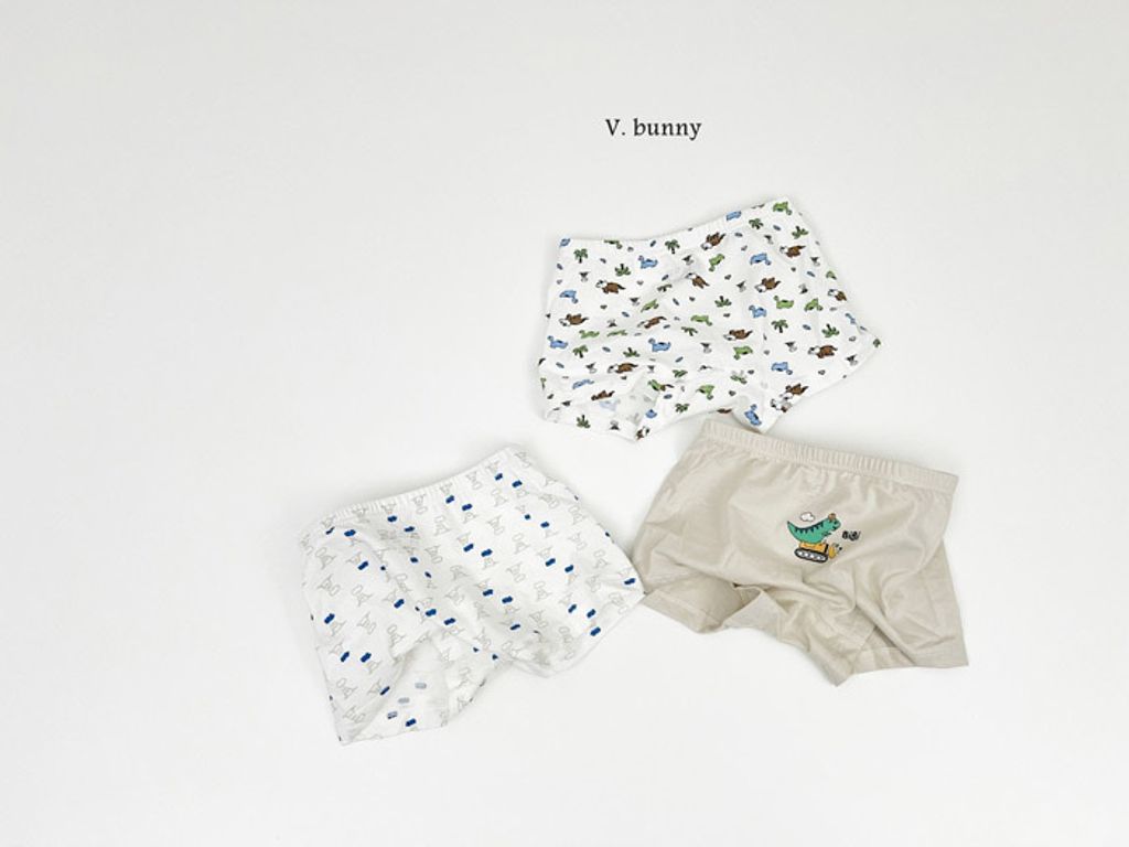 ImageDrain-20250312T044130.562Z