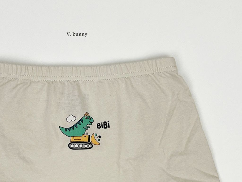 ImageDrain-20250312T044130.717Z