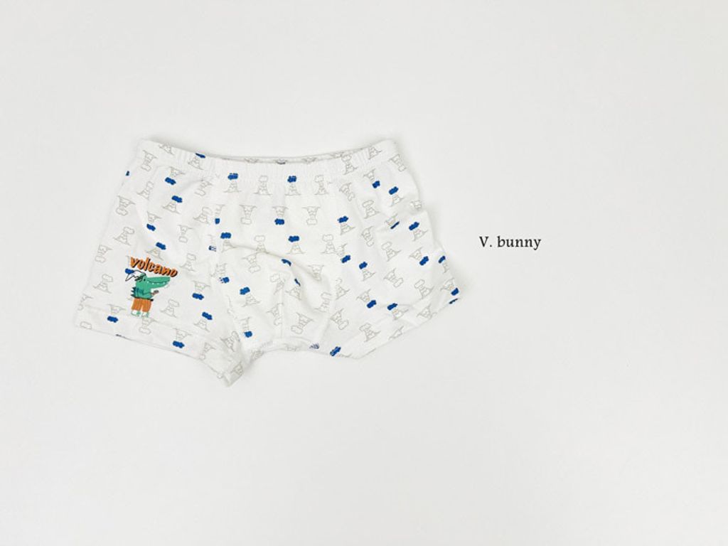 ImageDrain-20250312T044130.750Z