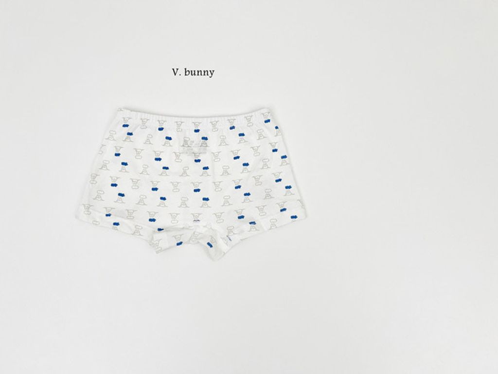 ImageDrain-20250312T044130.781Z