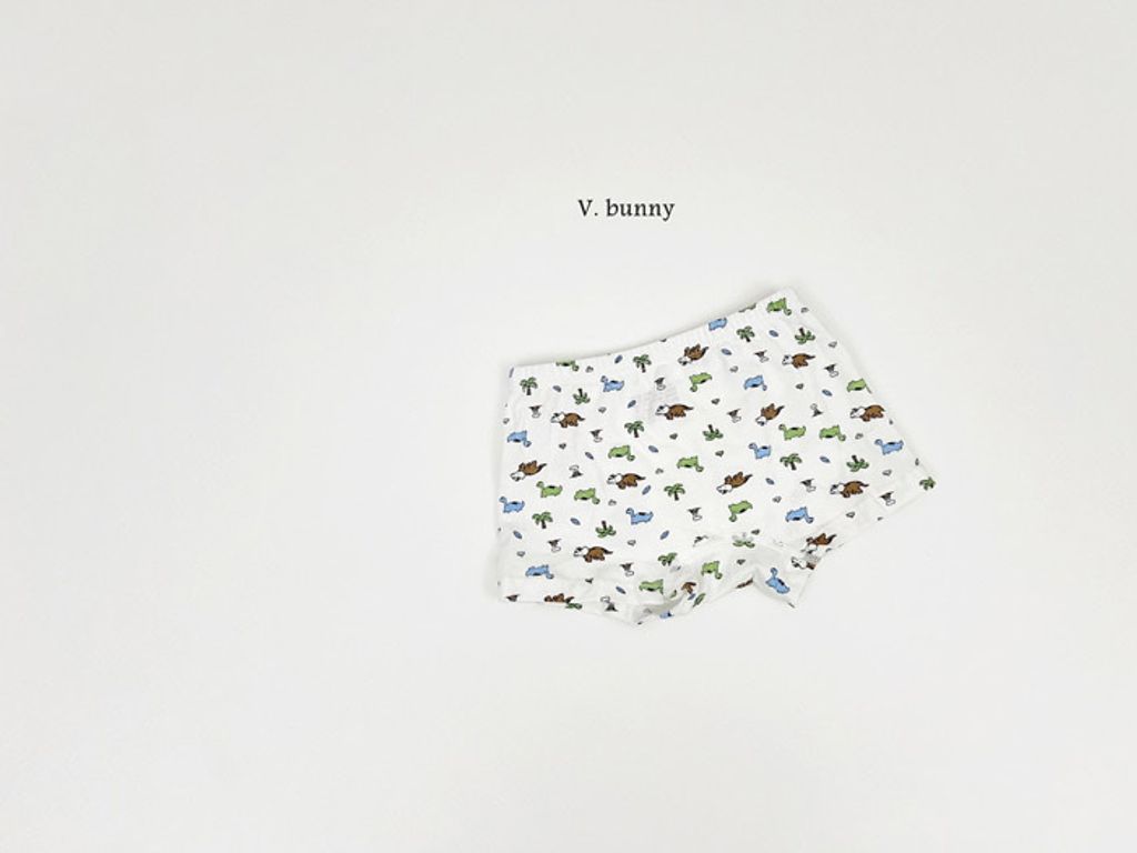 ImageDrain-20250312T044130.808Z