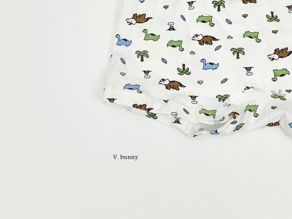 ImageDrain-20250312T044130.840Z