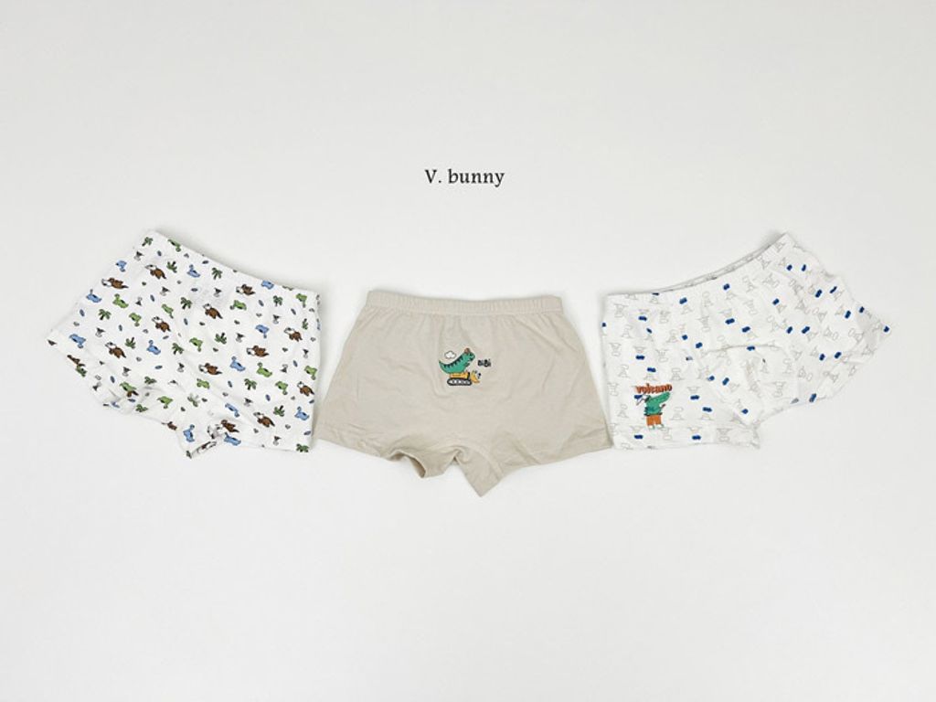 ImageDrain-20250312T044130.657Z