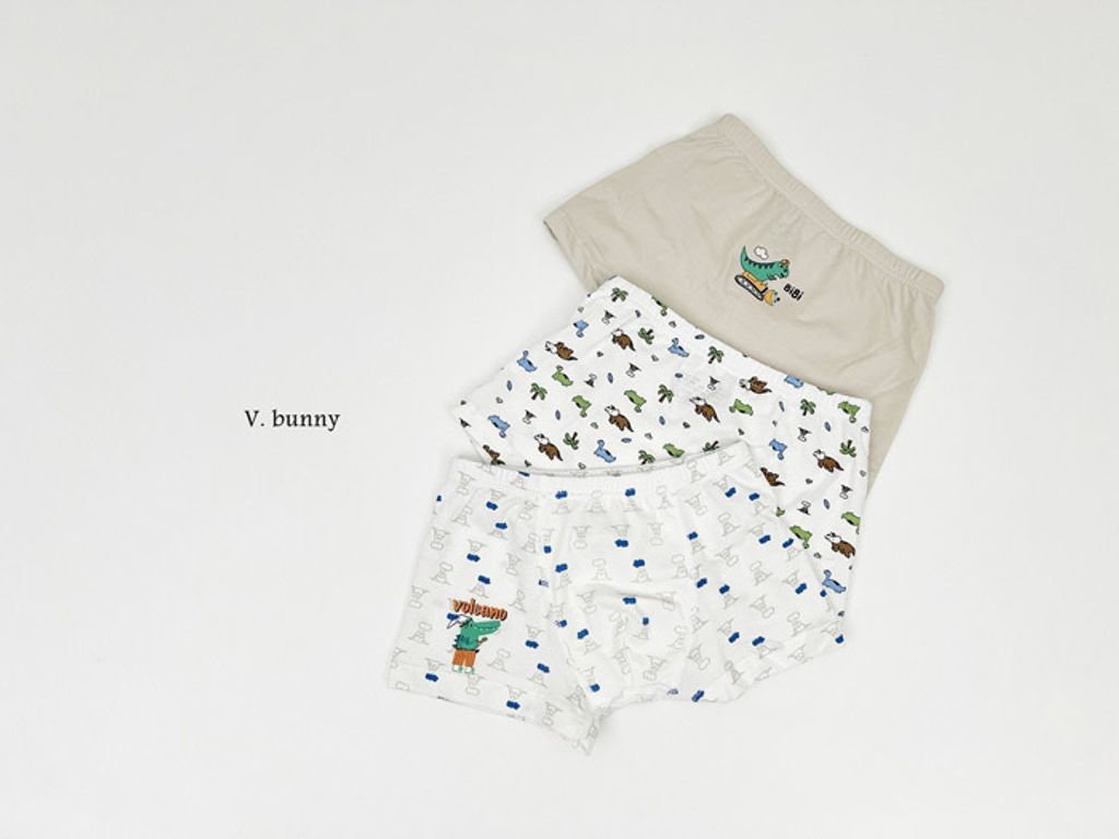 ImageDrain-20250312T044130.616Z