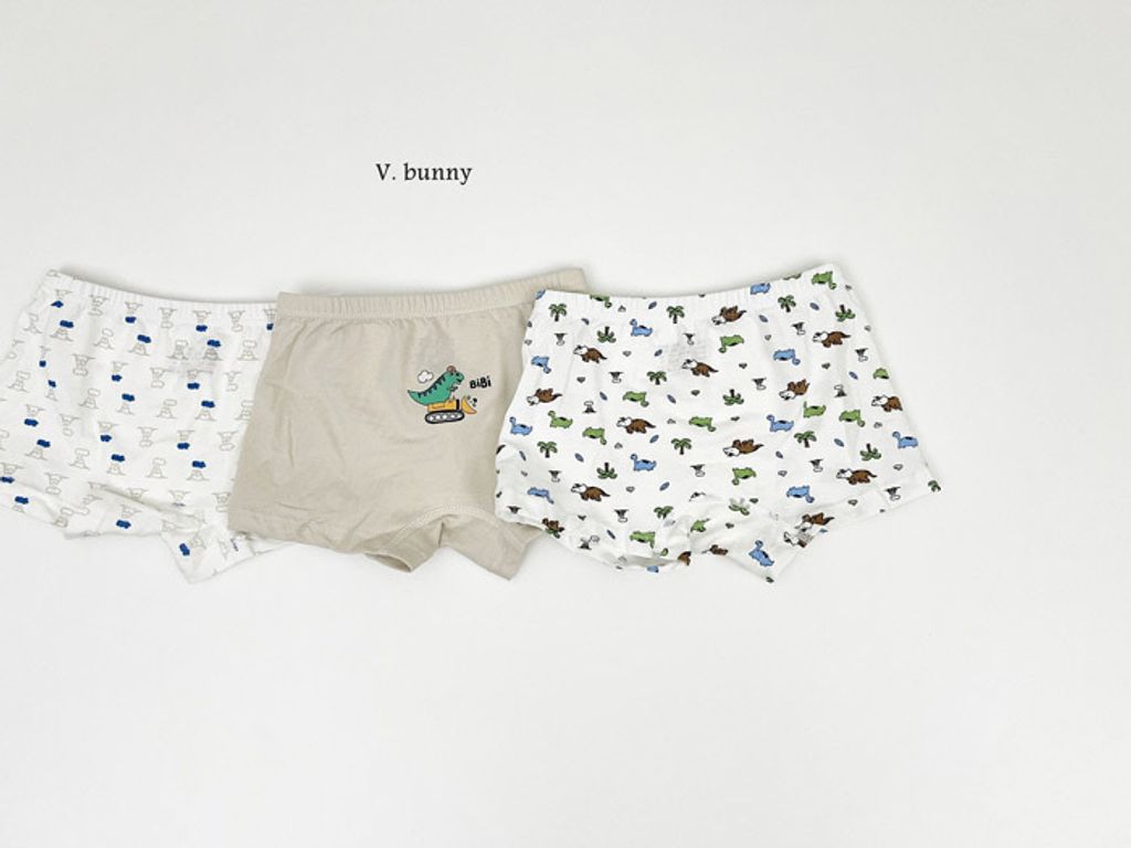 ImageDrain-20250312T044130.867Z