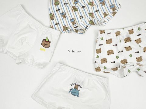 ImageDrain-20250312T044140.352Z