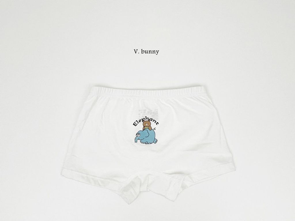 ImageDrain-20250312T044140.232Z