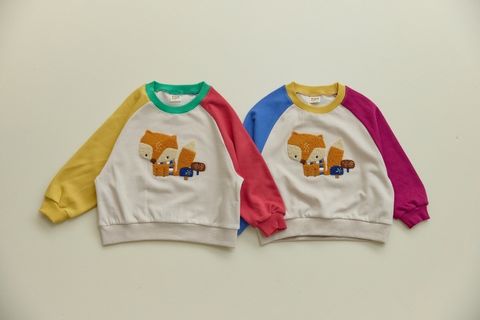 ImageDrain-20251113T163130.297Z