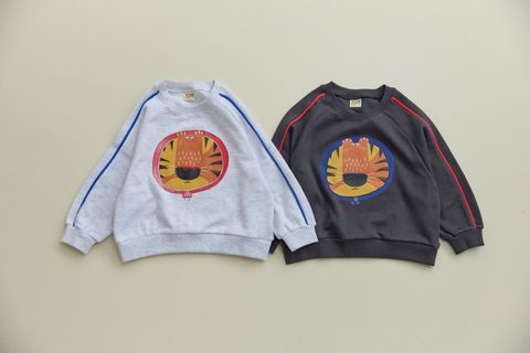 ImageDrain-20251113T163258.773Z