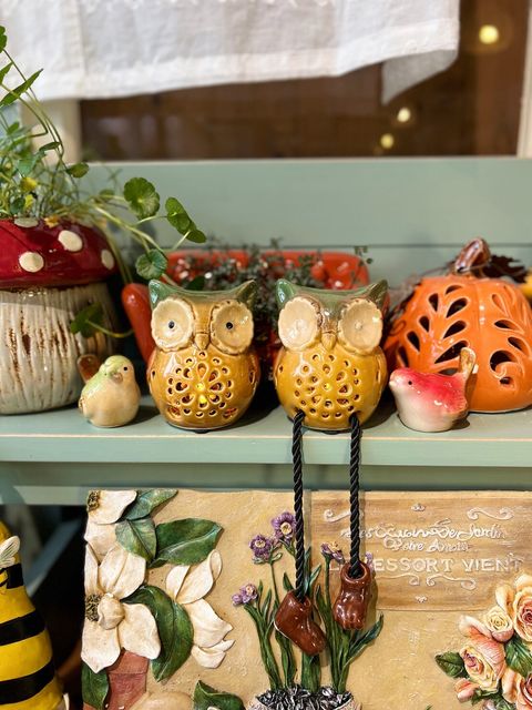 LINE_ALBUM_20260310_260320_98