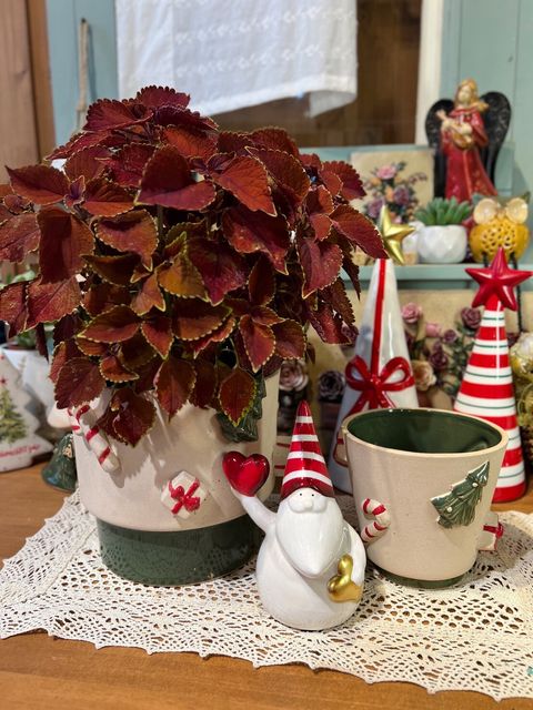 LINE_ALBUM_2026319_260323_25