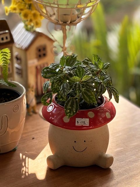 210F85F0-D3B0-493B-9B8E-6D62C0B47A48