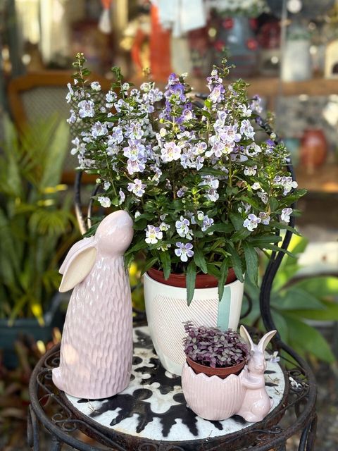 LINE_ALBUM_20251229_251229_7