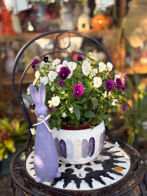 LINE_ALBUM_20251229_251229_1