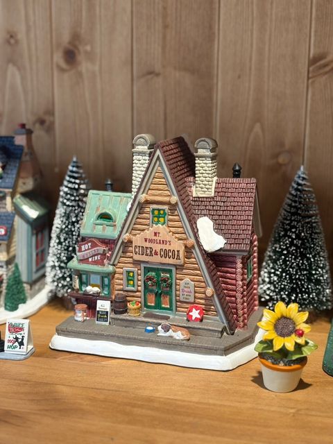 LINE_ALBUM_2026114 _1_260115_24