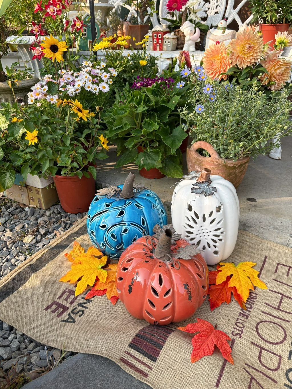 LINE_ALBUM_2026128 _1_260129_13