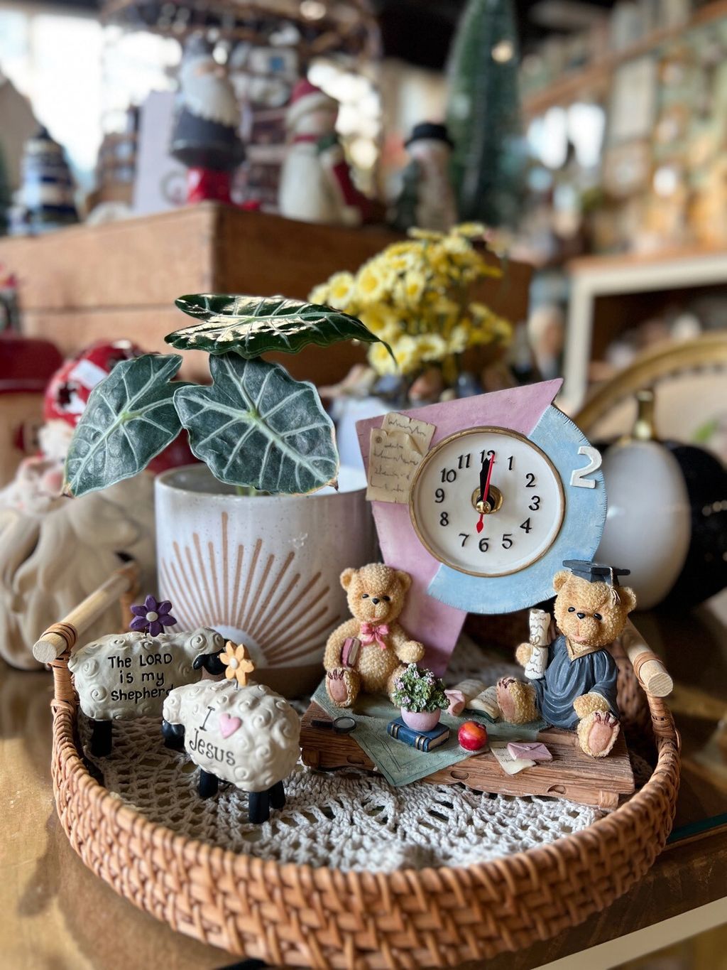 LINE_ALBUM_202625_260206_2