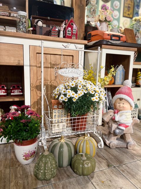 LINE_ALBUM_20260205_1_260206_6