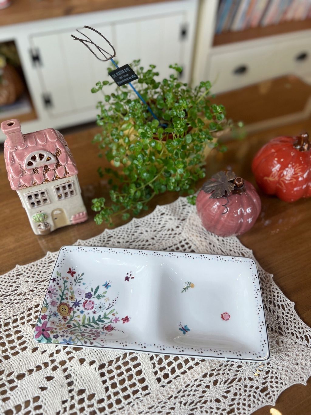 LINE_ALBUM_20260206_1_260206_3