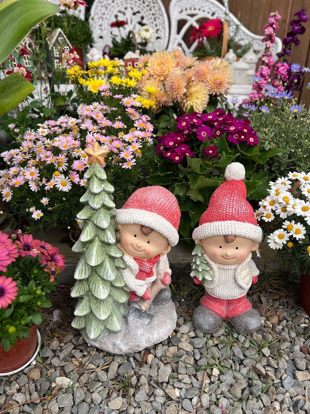 LINE_ALBUM_20260206_1_260206_48